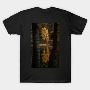 'Autumn Magic 2', Loch Dunmore, Pitlochry T-Shirt